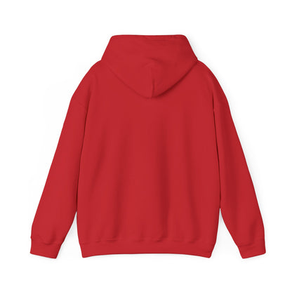Vintage Tennis Hoodie — "It’s Carlos Alcaraz" Retro Tennis Illustration Sweatshirt
