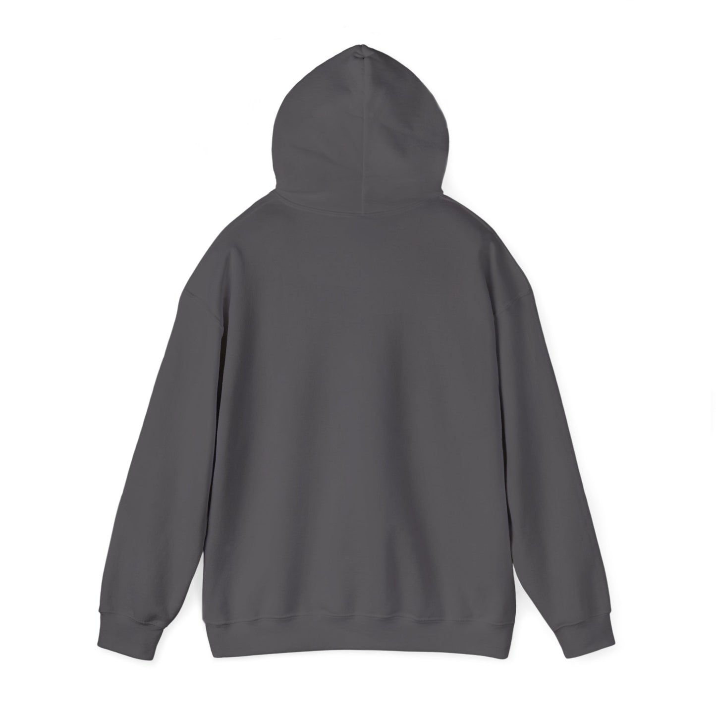 Vintage Tennis Hoodie — "It’s Carlos Alcaraz" Retro Tennis Illustration Sweatshirt