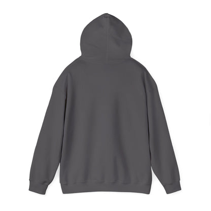 Vintage Tennis Hoodie — "It’s Carlos Alcaraz" Retro Tennis Illustration Sweatshirt