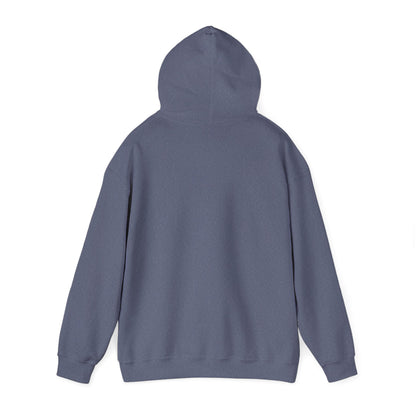 Vintage Tennis Hoodie — "It’s Carlos Alcaraz" Retro Tennis Illustration Sweatshirt