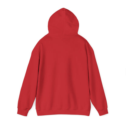 Vintage Tennis Hoodie — "It’s Carlos Alcaraz" Retro Tennis Illustration Sweatshirt