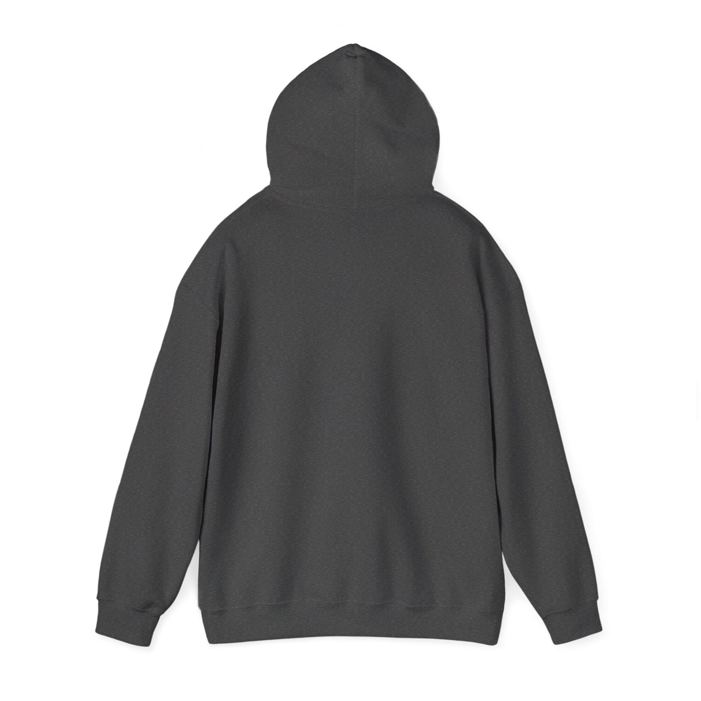 Vintage Tennis Hoodie — "It’s Carlos Alcaraz" Retro Tennis Illustration Sweatshirt