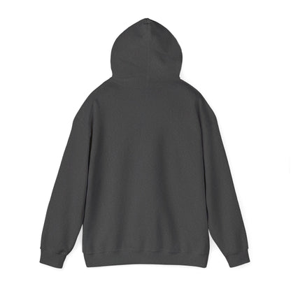 Vintage Tennis Hoodie — "It’s Carlos Alcaraz" Retro Tennis Illustration Sweatshirt