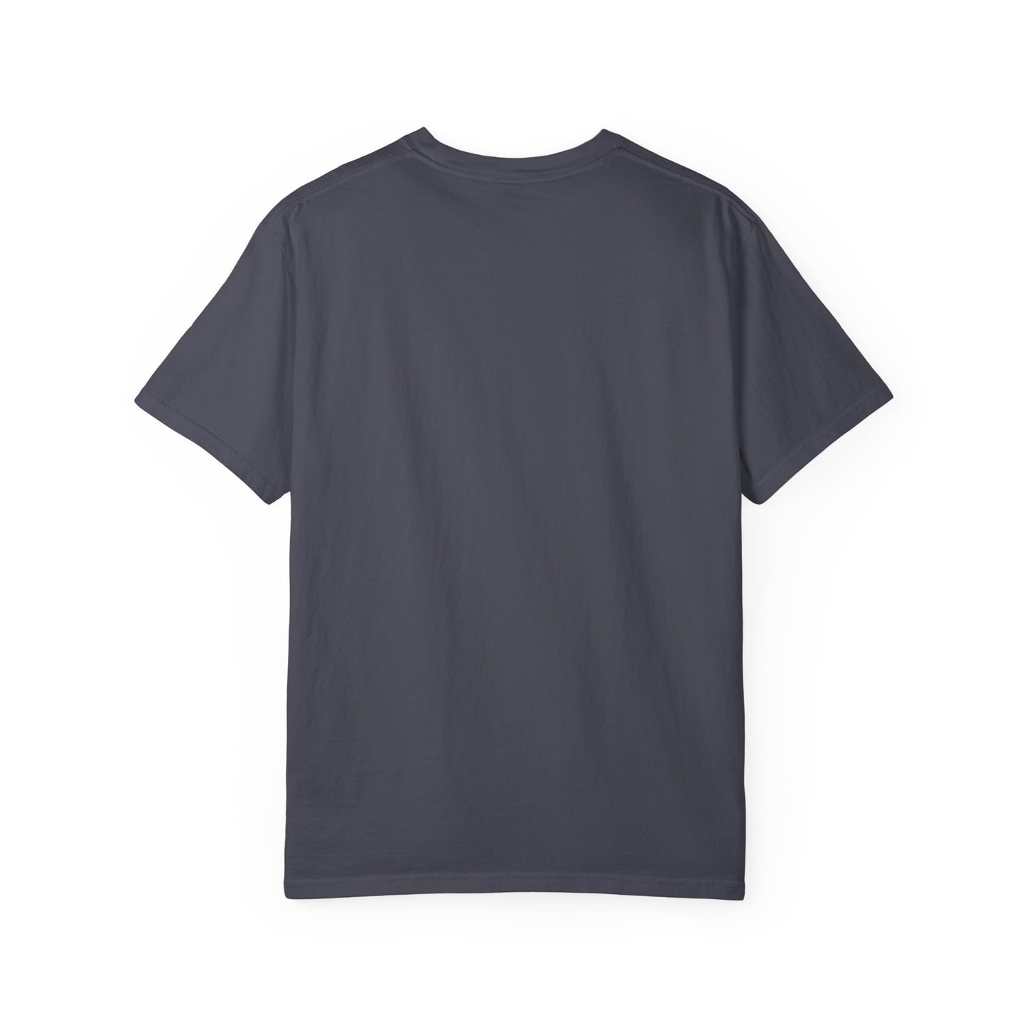VAMOS Graphic T-Shirt — Bold Two-Tone Sports Fan Tee