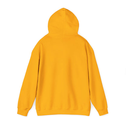 Vintage Tennis Hoodie — "It’s Carlos Alcaraz" Retro Tennis Illustration Sweatshirt
